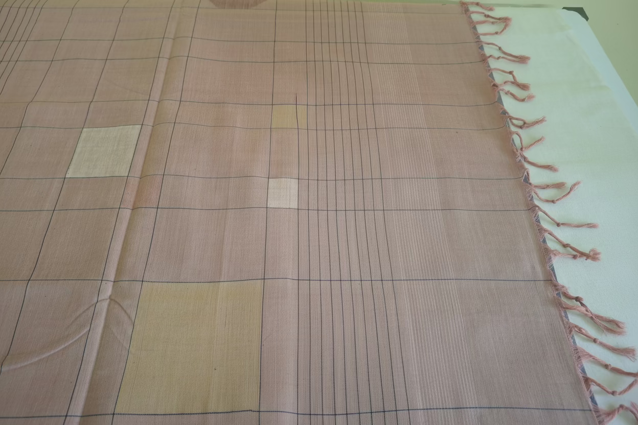 Lavender blue Jamdani with dual border Ponduru Cotton