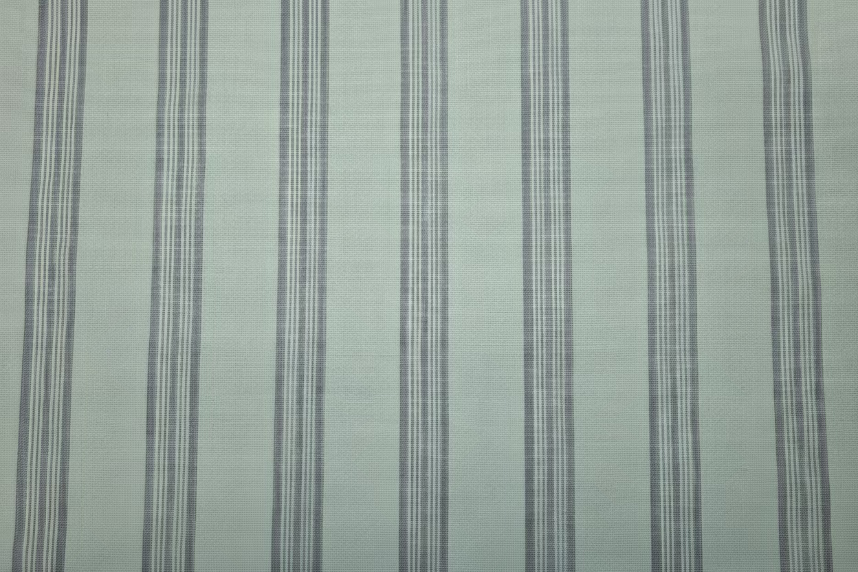 Sky blue with Black border Ponduru Cotton